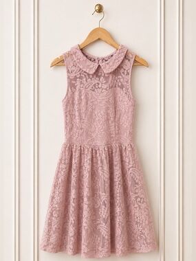Xhilaration Pink Lace Peter Pan Collar Dress Size Small Fit & Flare Feminine
